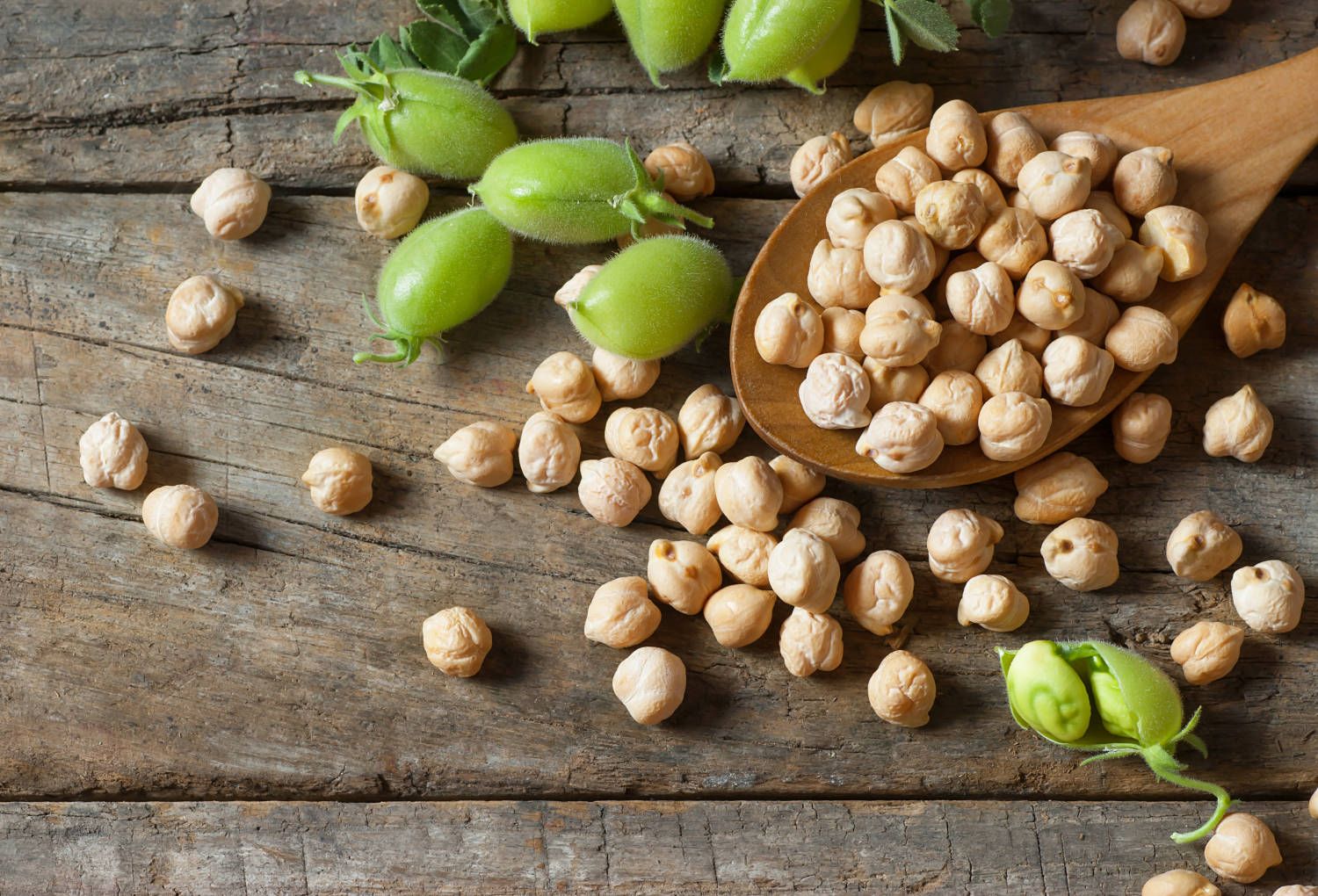 Chickpea beans Chickpea beans